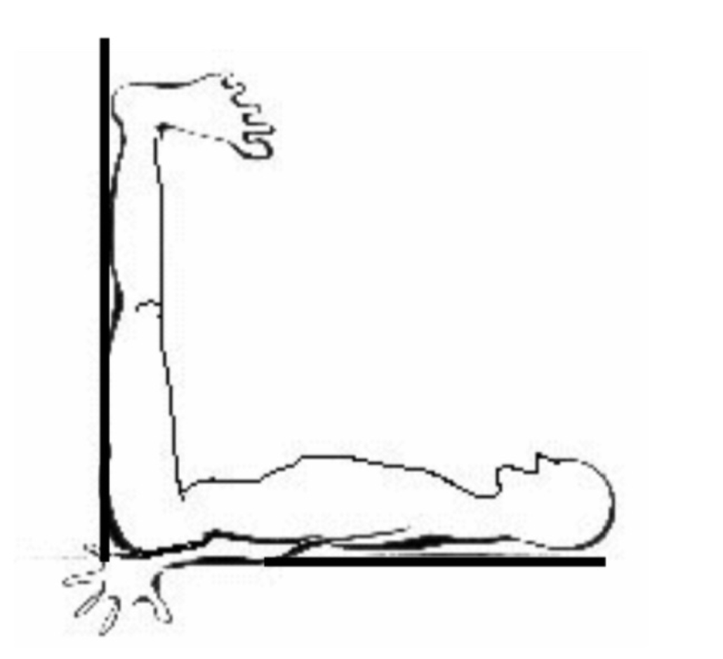 stretch